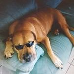 Lorraine Robert - @lorraine.robert.752 - Instagram