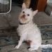 Robert Losch - Facebook