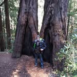 Robert Lowers - @norcalgiant - Instagram