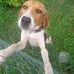 Robert Lowery - Facebook