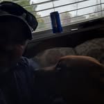 robert lowry - @robertlowry7 - Instagram