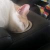 user6242119406374 - @robertlrudolph - TikTok