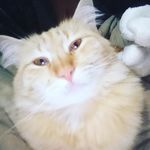 Ludy Gonçalves - @ludy_robert - Instagram