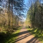 Robert luff - @chippy.luff - Instagram