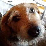 Robert Lügering - @robertlugering - Instagram