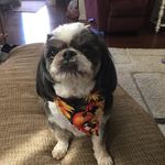 Robert Lull - @robertlull - Instagram