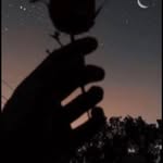 Robert Lungu - @robert.lungu.96780 - Instagram
