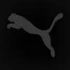 Robert Lupercio - @robert.lupercio - TikTok