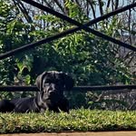 Andrww Robert  Lusk - @dukedoggandsky - Instagram