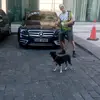 Robert Záluský - @robert.zlusk - TikTok
