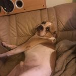 Robert Lüth - @robert.luth.71 - Instagram