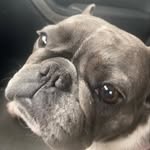 Robert Lyford - @robert_lyford - Instagram