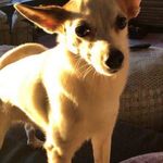 Robert Lyman - @mnibob - Instagram