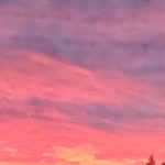 Robert Lyttle - @always.kidding1 - Instagram