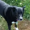 robertmaberry92 - @robert.maberry - TikTok