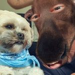 Robert MacArthur - @roboreily - Instagram