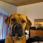 Robert MacArthur - Facebook