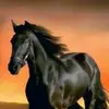 Robert Macias - @robertmacias7 - TikTok