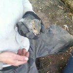 Robert Mackiewicz - @robertmackiewicz - Instagram