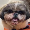 Robert Madison Carsonn - @robert.carsonn80 - TikTok