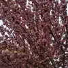 Roberto Madrigal - @roberto.madrigal56 - TikTok