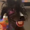Ruben! - @robert.maduro5 - TikTok