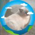 Roberto Magan - Facebook