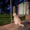 Robert Maggi859 - @robertmaggi0001 - TikTok