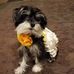 Robert Magna - Facebook