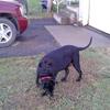 robertmahaney - @robertmahaney - TikTok