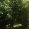 robertmahnke0 - @robertmahnke0 - TikTok