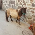 Robertomeie - @robert_mailen - Instagram