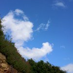 Robert Maines - @vanamonde - Instagram