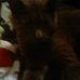 Robert Maines - Facebook