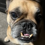 Robert Maize - Facebook