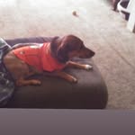 Robert maize - @robert.maize - Instagram