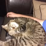 Robert James Glenn Malott - @robertjamesglenn - Instagram