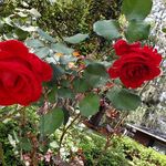 Robert Manders - @rlmanders2 - Instagram