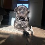 Robert Manders - @bertjuh71 - Instagram