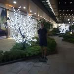 robert manero - @robertmanero - Instagram