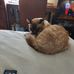 Robert Manning - Facebook