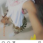 Robert Manning - @barbie_british_8 - Instagram