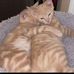 Robert Manning - Facebook