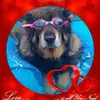 Robert Mannon - @30198039921 - TikTok