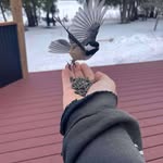Robert Manns - @khraul2 - Instagram