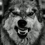 Robert Manns - @hbmanns6666 - Instagram