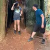 Robert Manson529 - @robertmanson50 - TikTok