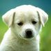 Robert Manter - Facebook