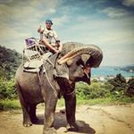 Robert Maple - @robmaple - Instagram