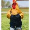 robertmaple1532 - @robertmaple1532 - TikTok